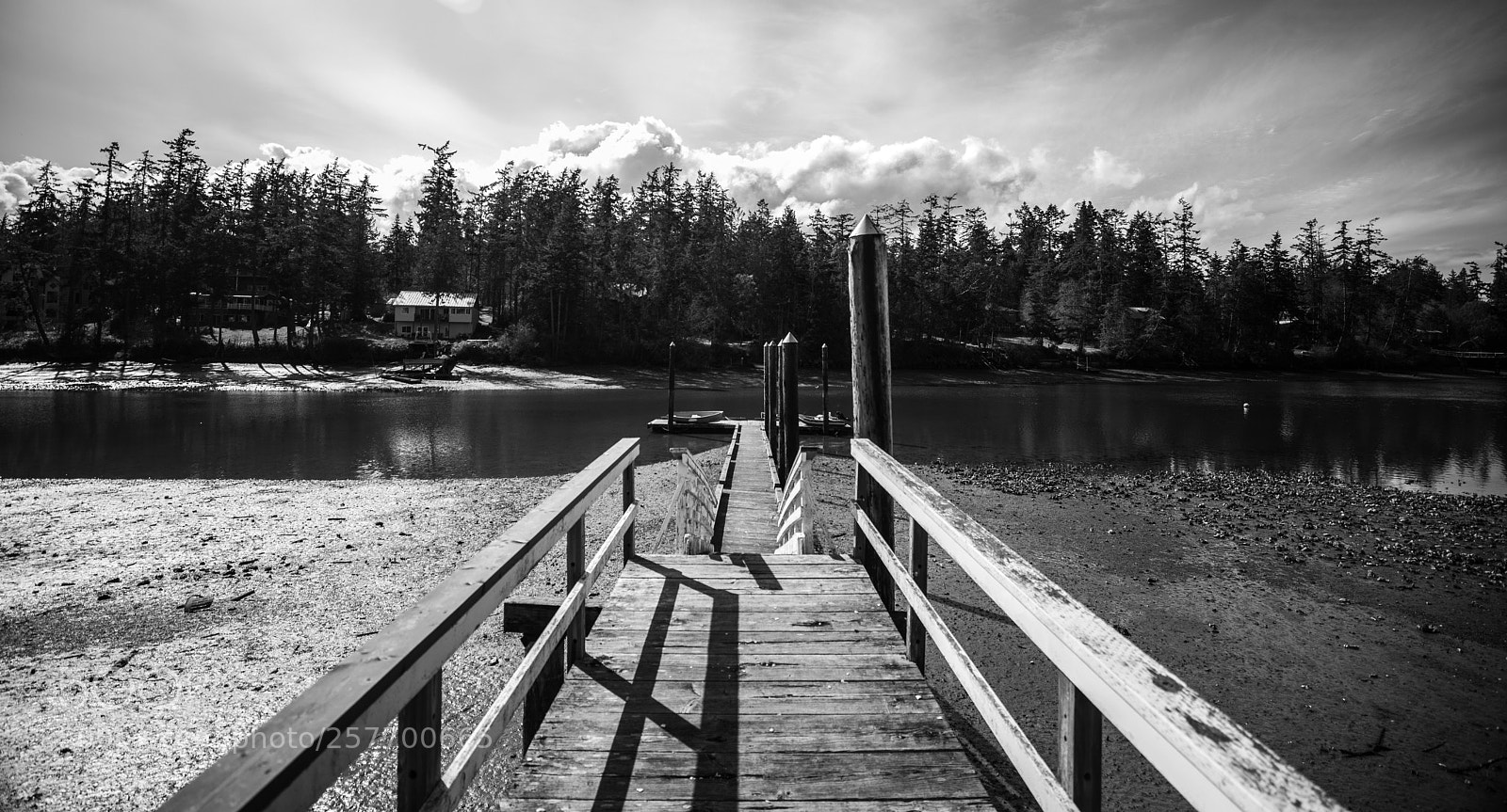 Canon EOS 5D Mark IV sample photo. Port angeles drive photography