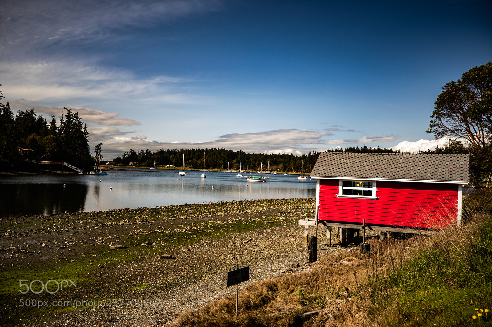 Canon EOS 5D Mark IV sample photo. Port angeles drive photography