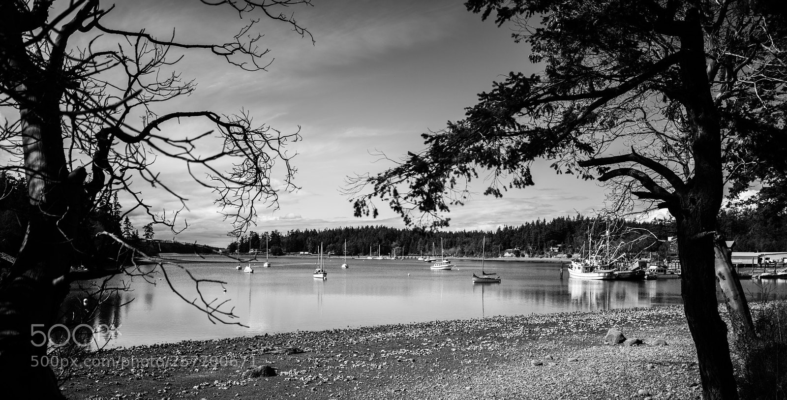 Canon EOS 5D Mark IV sample photo. Port angeles drive photography