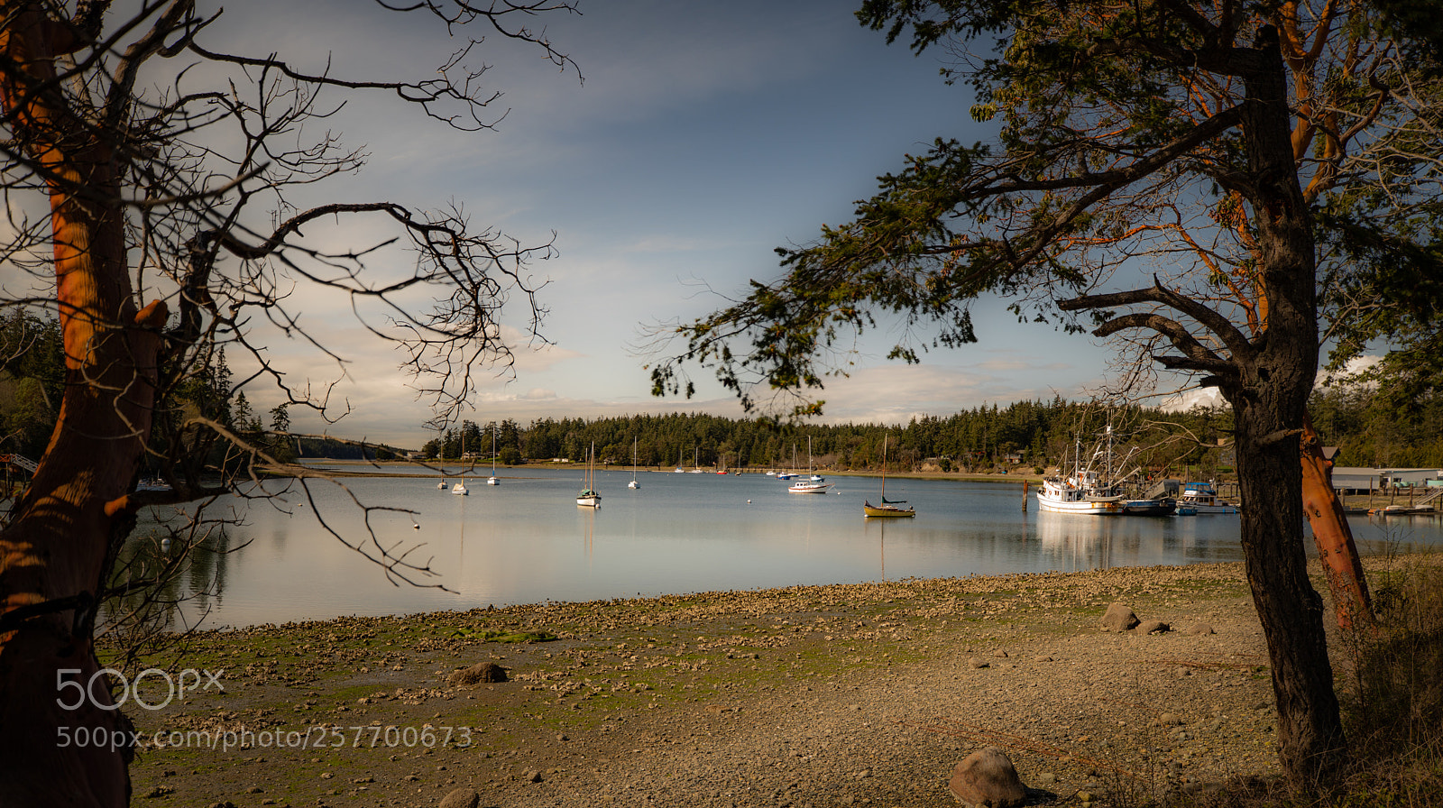 Canon EOS 5D Mark IV sample photo. Port angeles drive photography