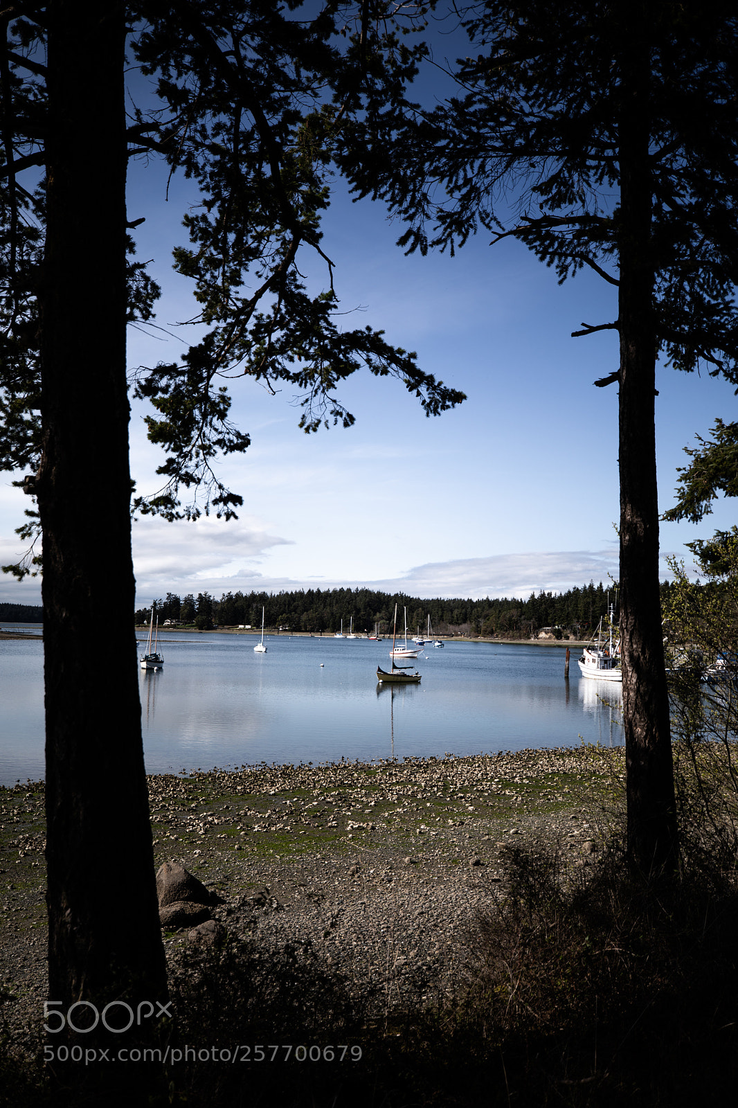 Canon EOS 5D Mark IV sample photo. Port angeles drive photography