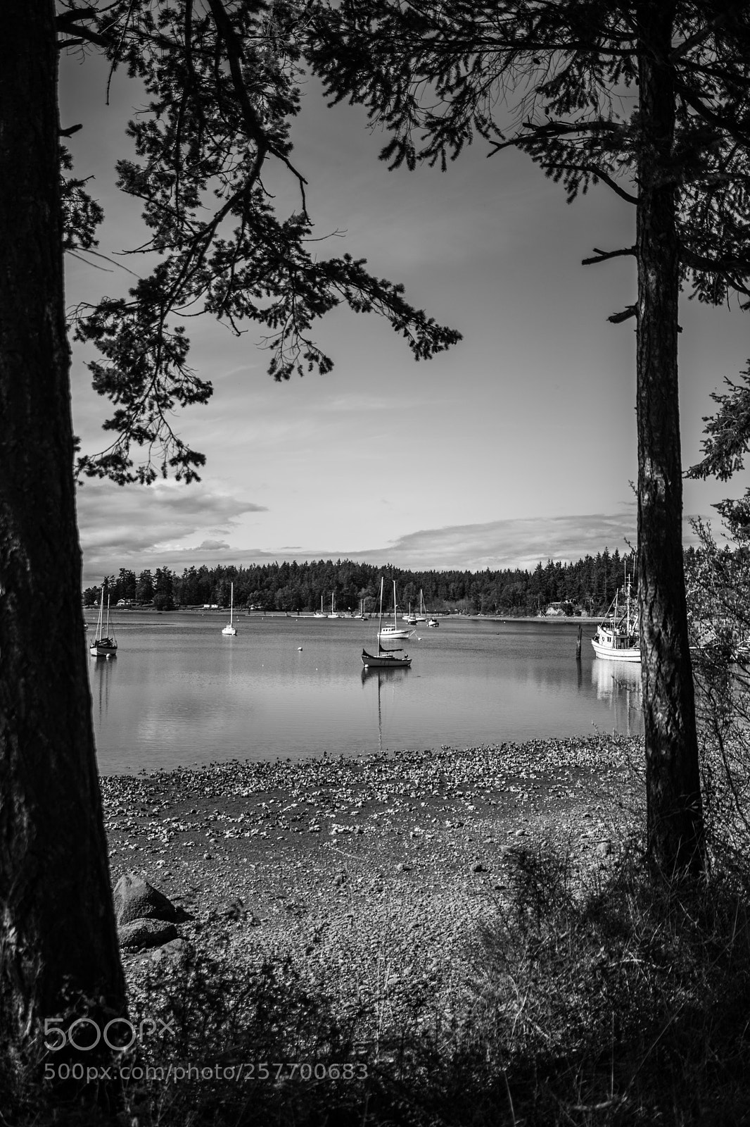 Canon EOS 5D Mark IV sample photo. Port angeles drive photography
