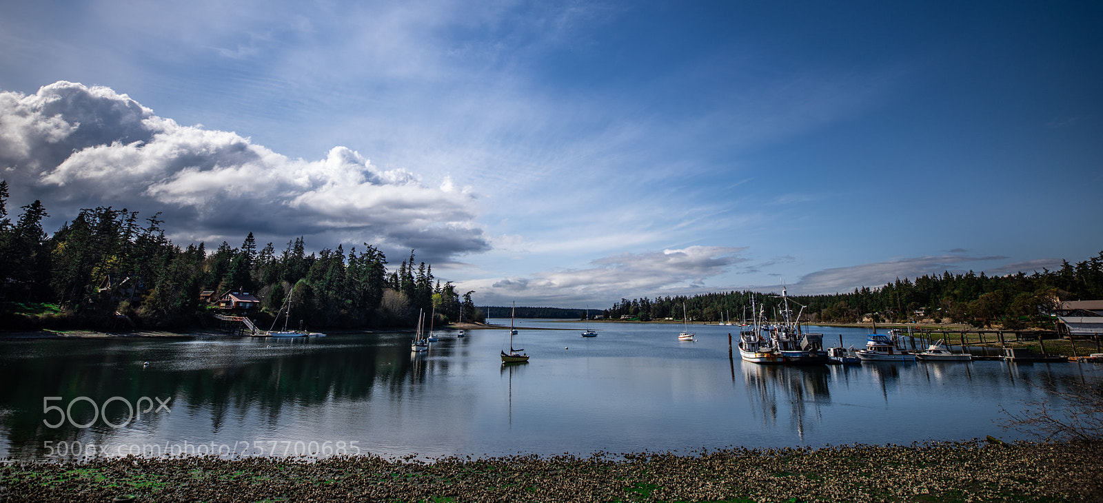 Canon EOS 5D Mark IV sample photo. Port angeles drive photography