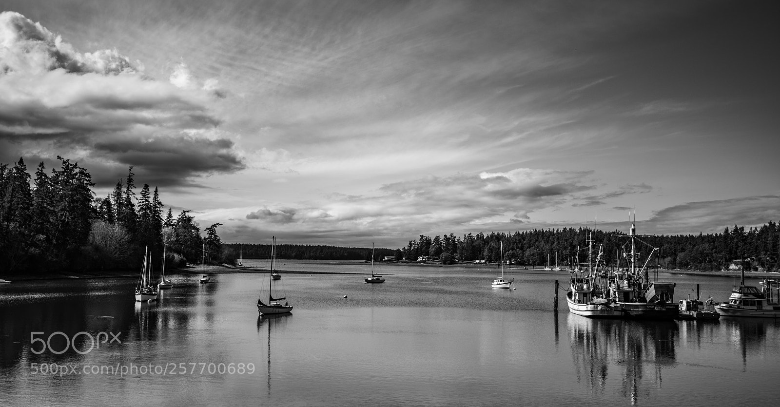 Canon EOS 5D Mark IV sample photo. Port angeles drive photography