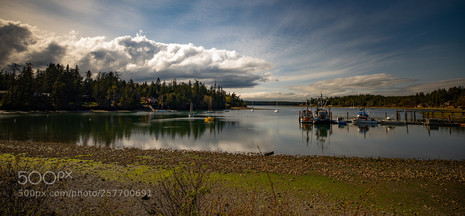 Canon EOS 5D Mark IV sample photo. Port angeles drive photography