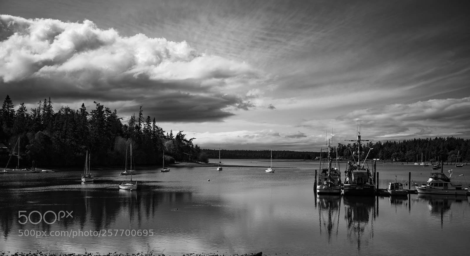 Canon EOS 5D Mark IV sample photo. Port angeles drive photography