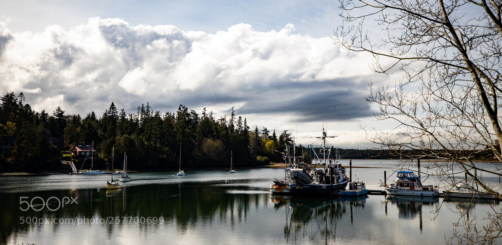Canon EOS 5D Mark IV sample photo. Port angeles drive photography