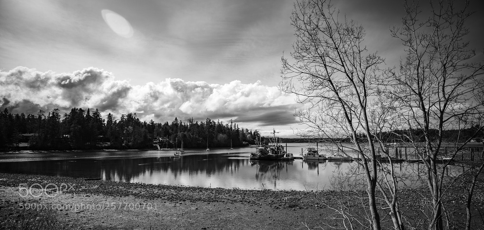 Canon EOS 5D Mark IV sample photo. Port angeles drive photography