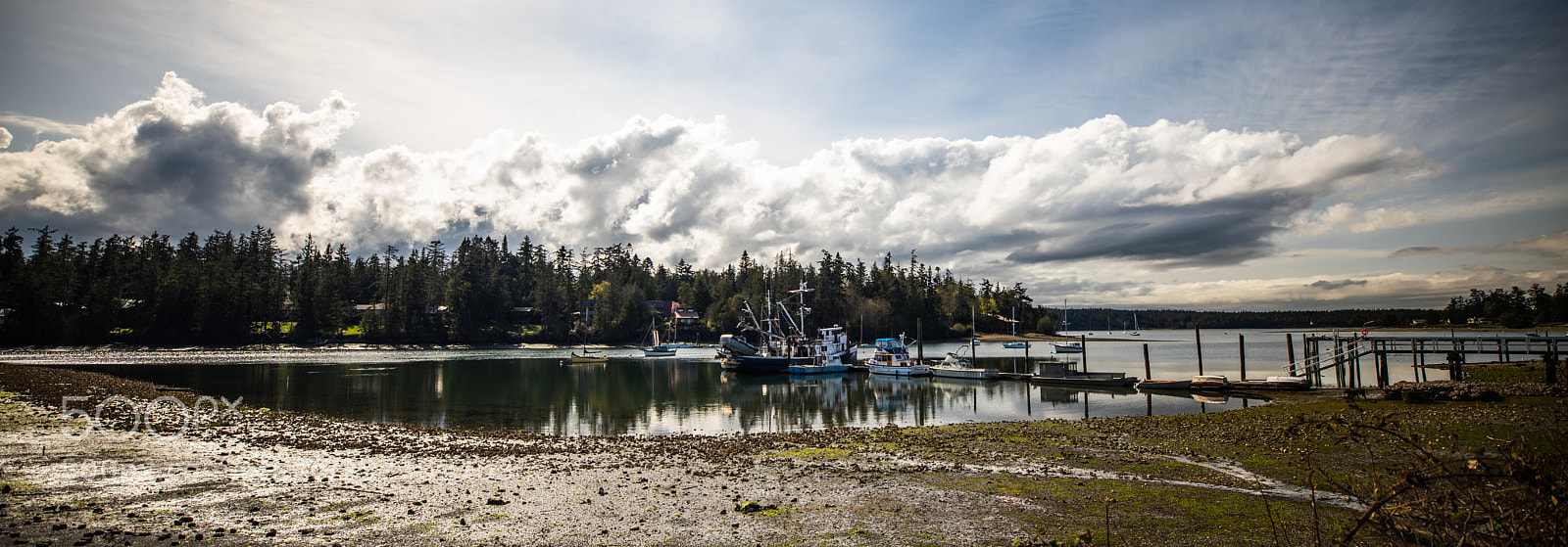 Canon EOS 5D Mark IV sample photo. Port angeles drive photography