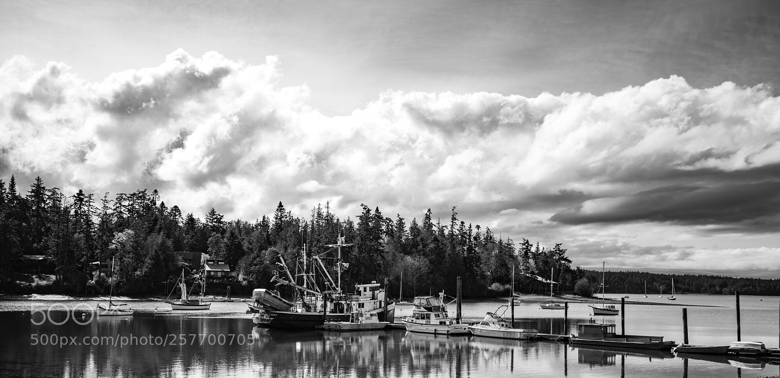 Canon EOS 5D Mark IV sample photo. Port angeles drive photography