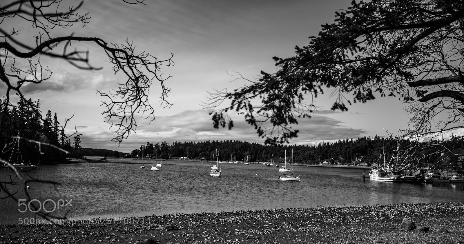 Canon EOS 5D Mark IV sample photo. Port angeles drive photography