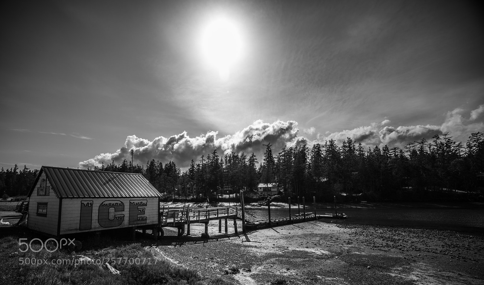 Canon EOS 5D Mark IV sample photo. Port angeles drive photography