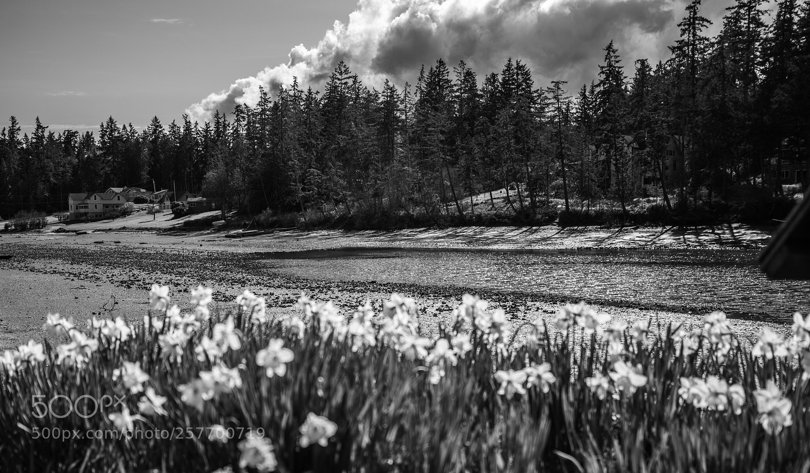 Canon EOS 5D Mark IV sample photo. Port angeles drive photography