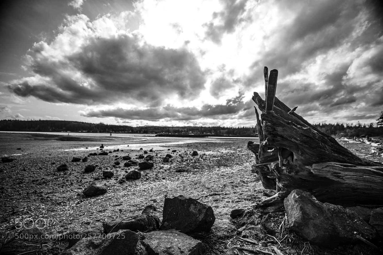 Canon EOS 5D Mark IV sample photo. Port angeles drive photography