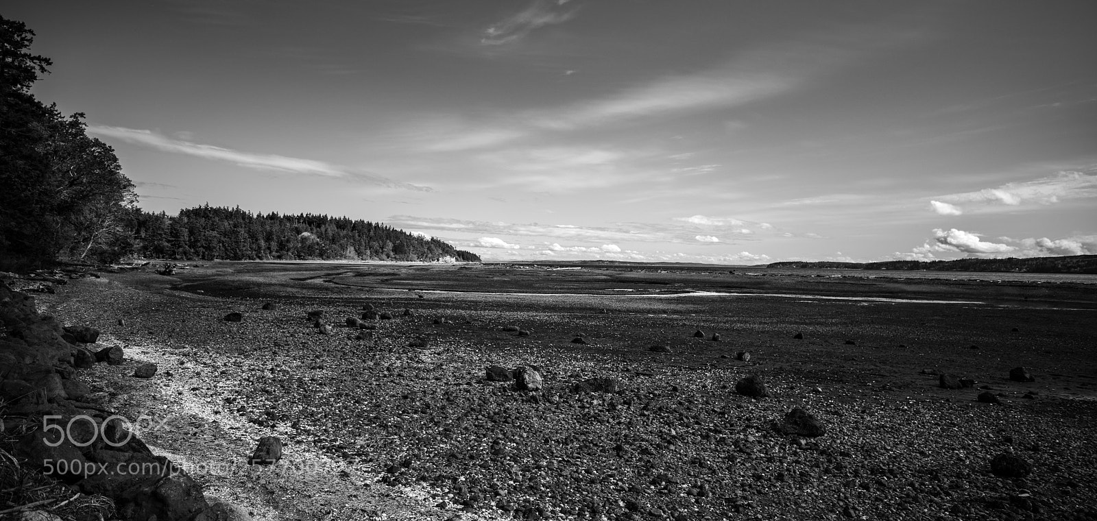 Canon EOS 5D Mark IV sample photo. Port angeles drive photography
