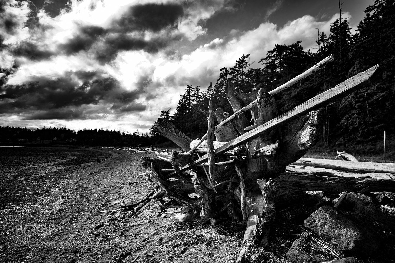 Canon EOS 5D Mark IV sample photo. Port angeles drive photography