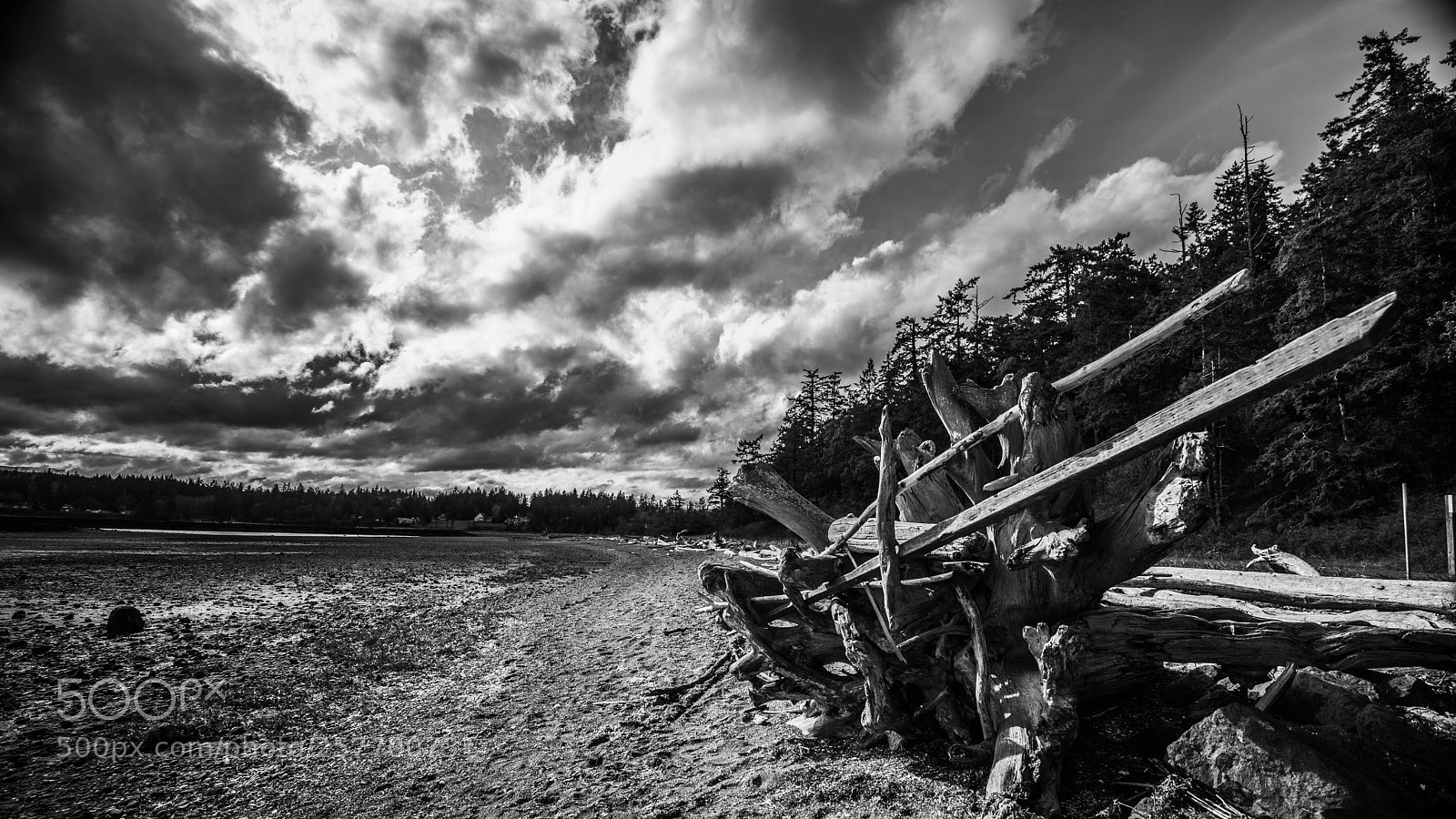 Canon EOS 5D Mark IV sample photo. Port angeles drive photography
