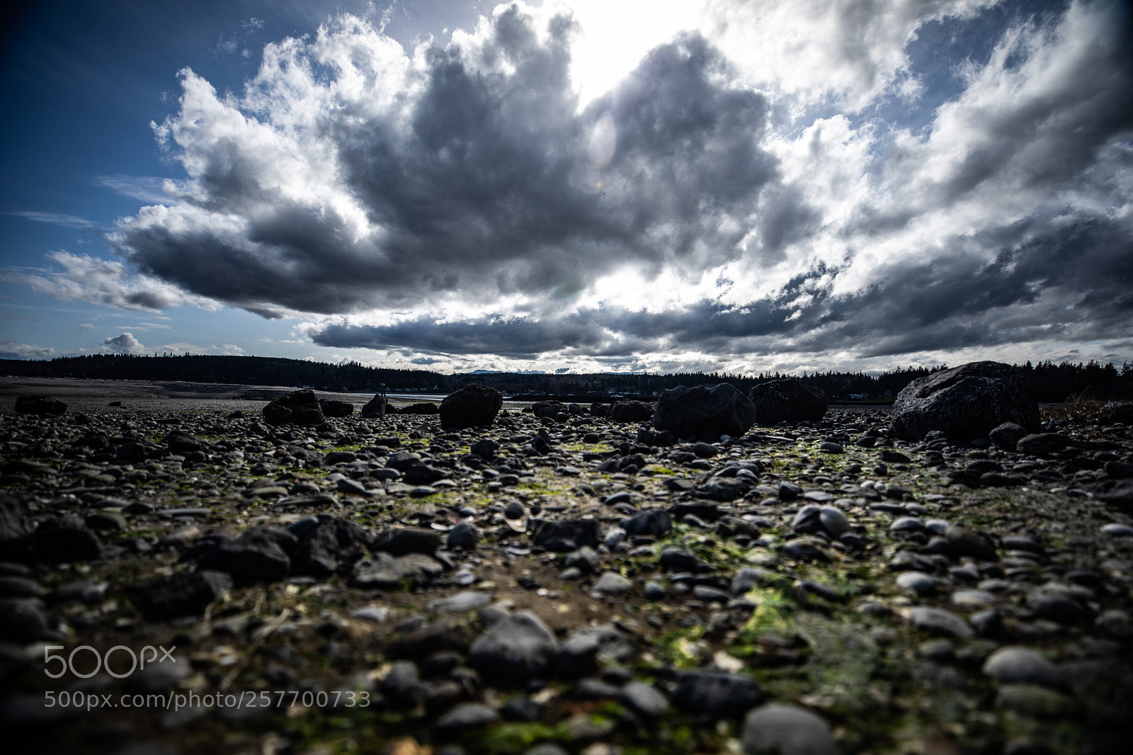 Canon EOS 5D Mark IV sample photo. Port angeles drive photography