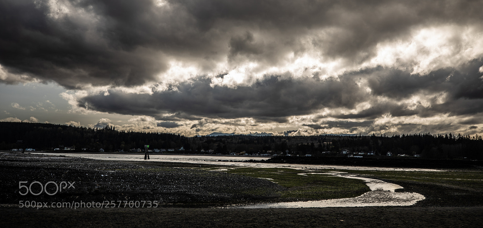 Canon EOS 5D Mark IV sample photo. Port angeles drive photography
