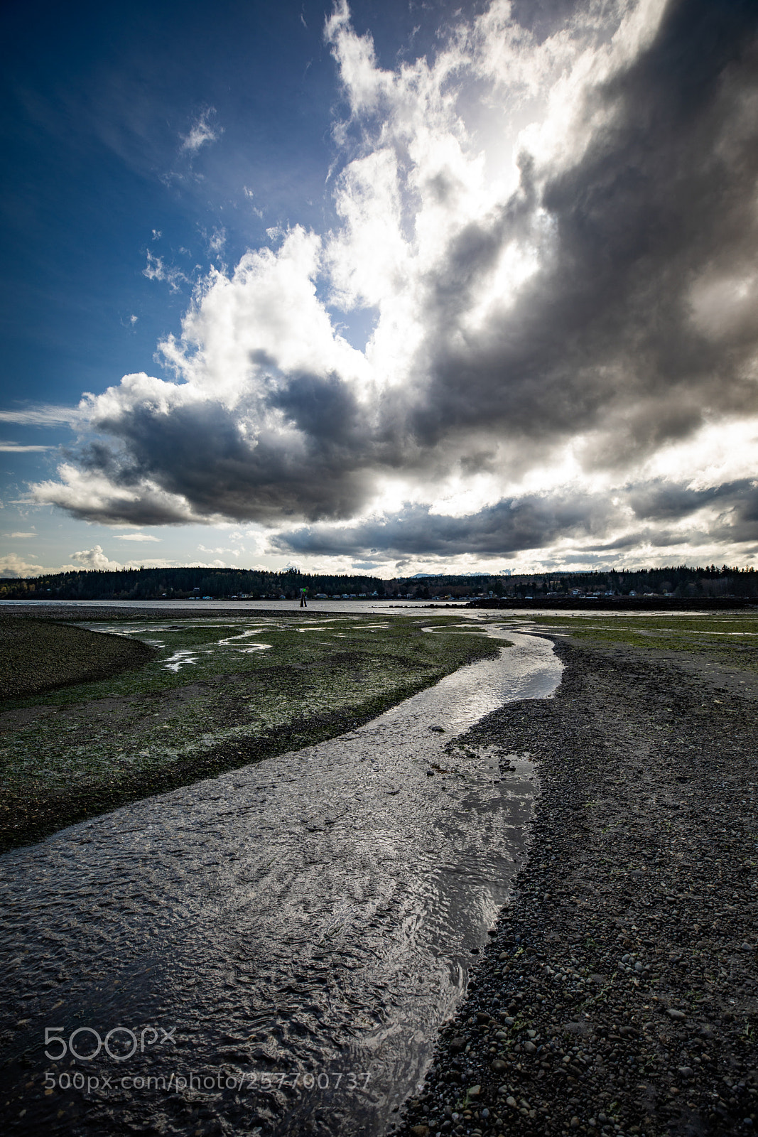 Canon EOS 5D Mark IV sample photo. Port angeles drive photography