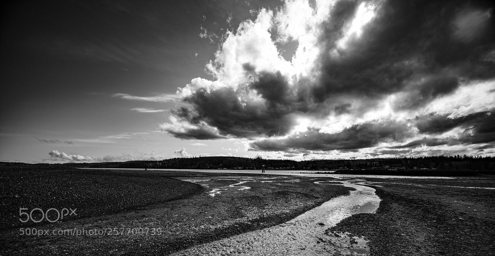 Canon EOS 5D Mark IV sample photo. Port angeles drive photography