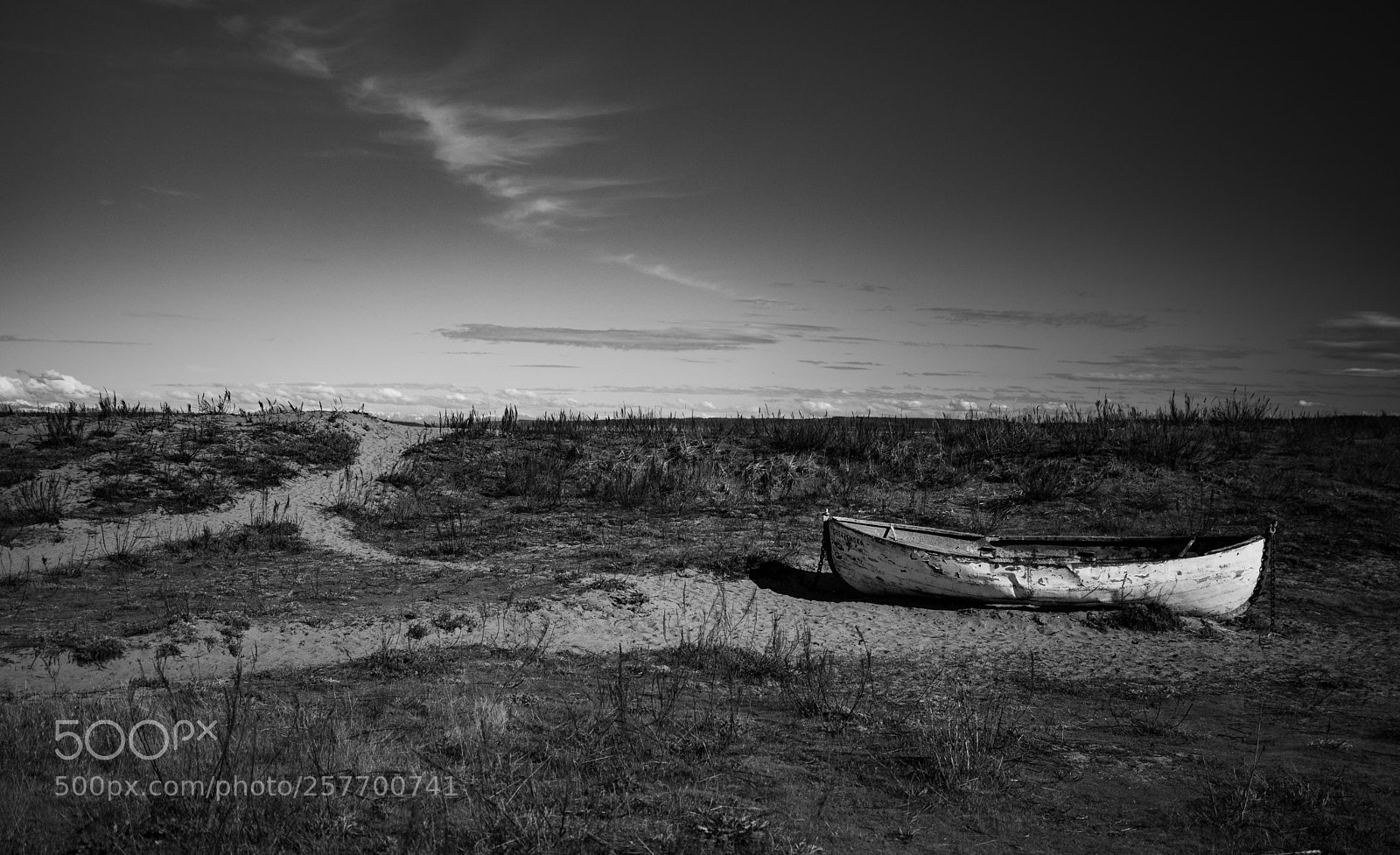 Canon EOS 5D Mark IV sample photo. Port angeles drive photography