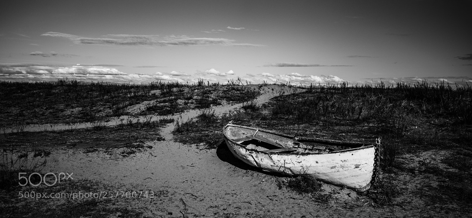 Canon EOS 5D Mark IV sample photo. Port angeles drive photography