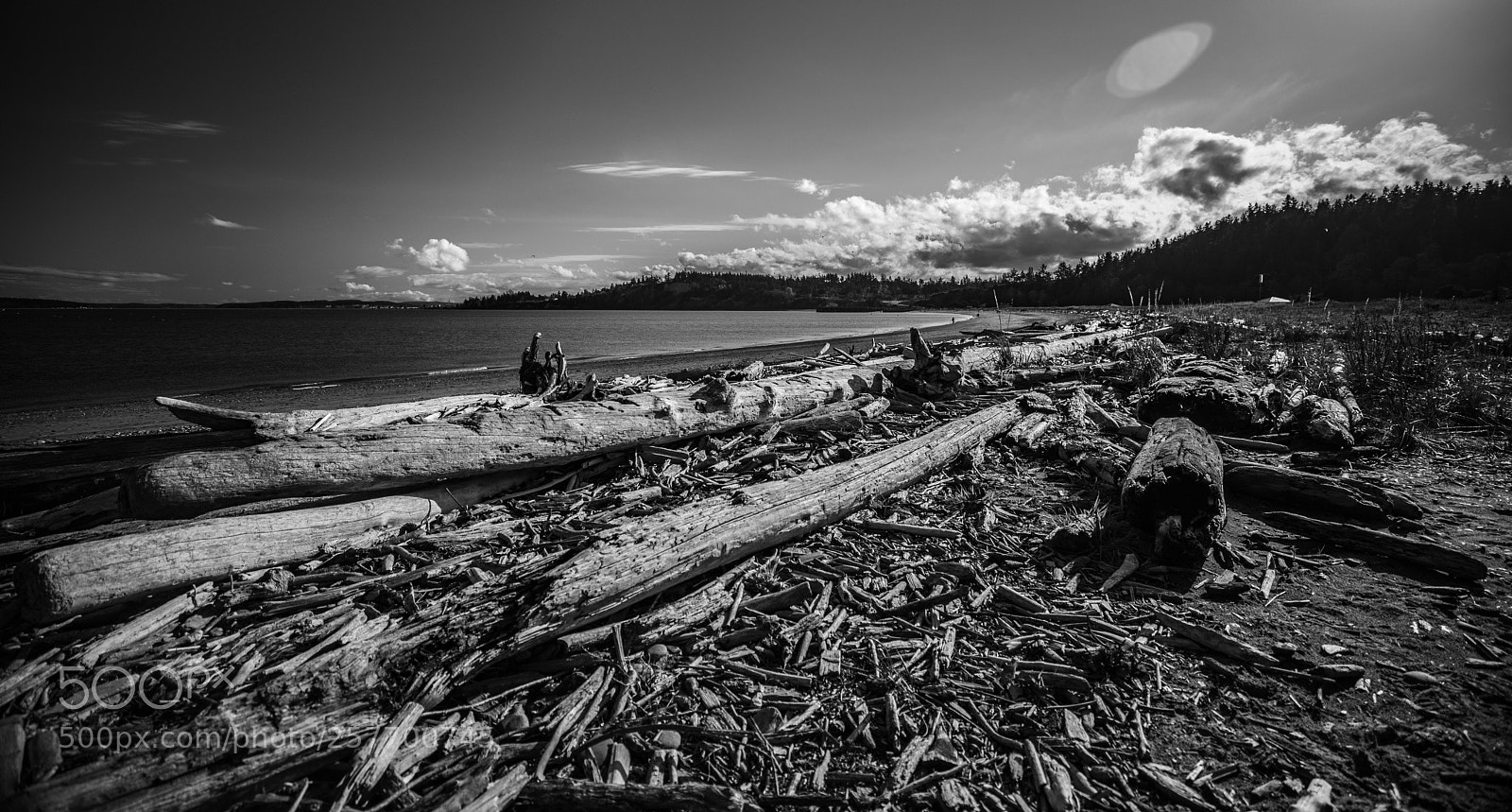 Canon EOS 5D Mark IV sample photo. Port angeles drive photography