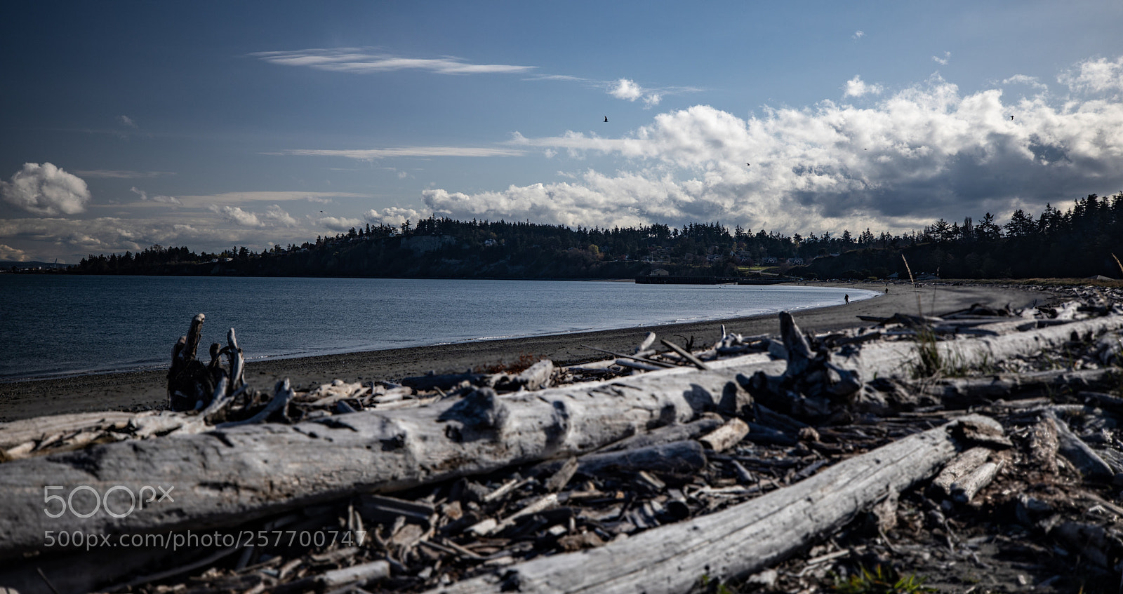 Canon EOS 5D Mark IV sample photo. Port angeles drive photography