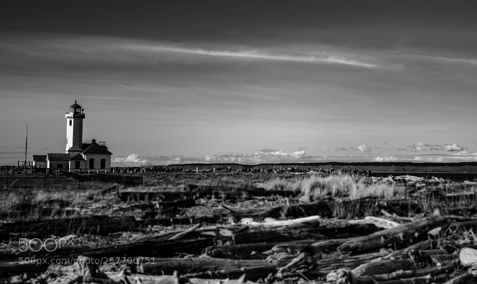 Canon EOS 5D Mark IV sample photo. Port angeles drive photography
