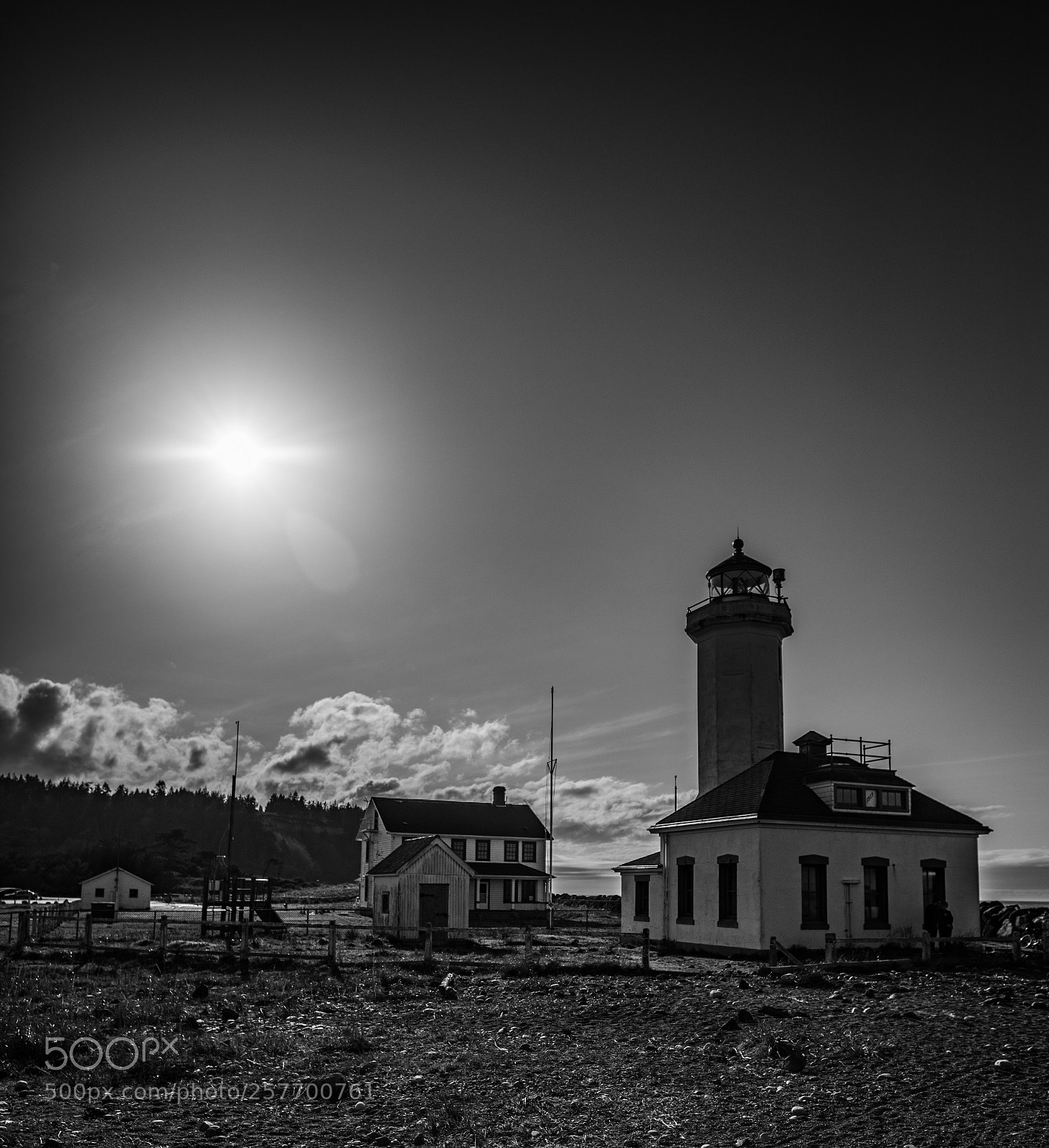 Canon EOS 5D Mark IV sample photo. Port angeles drive photography