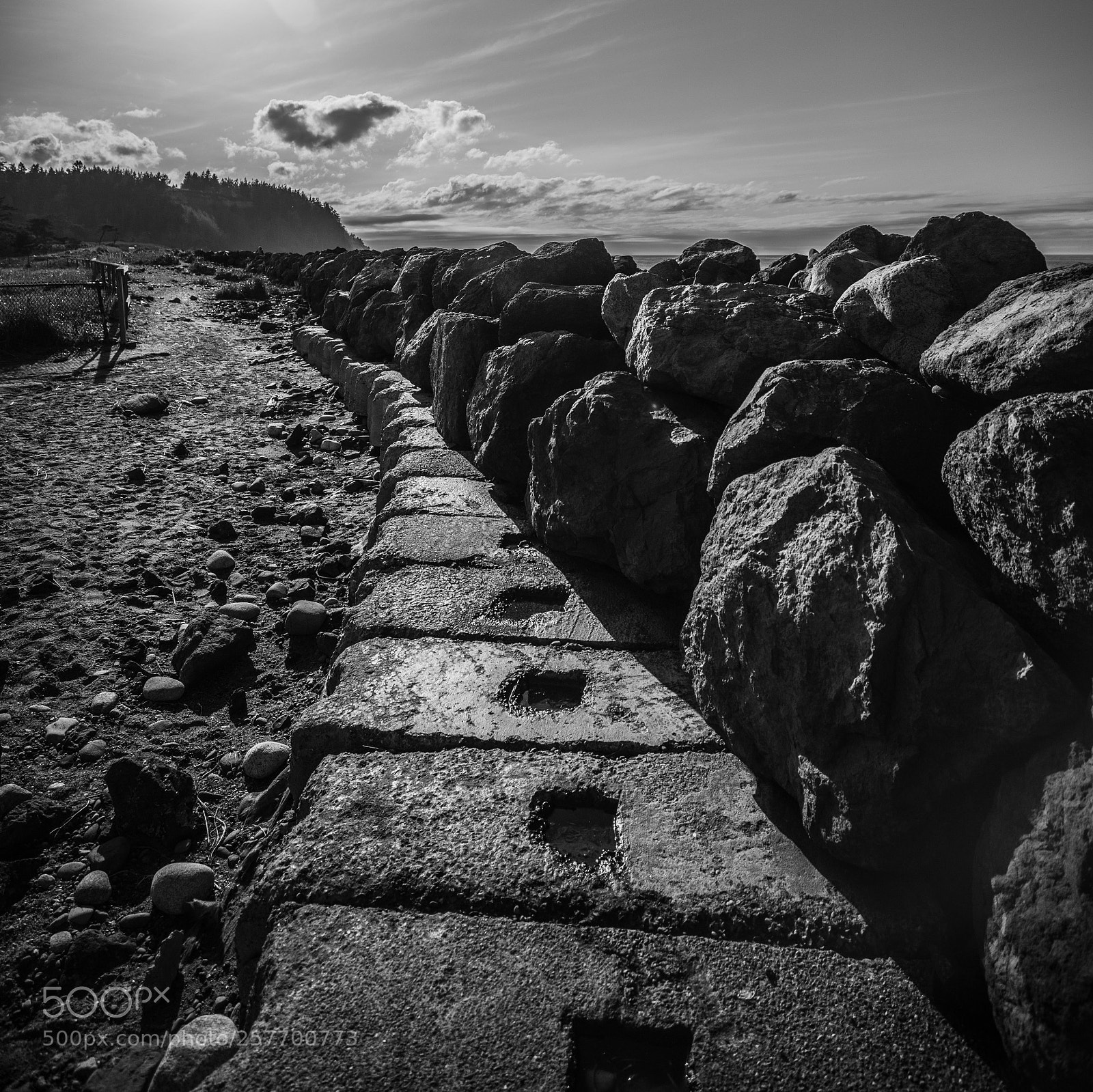 Canon EOS 5D Mark IV sample photo. Port angeles drive photography