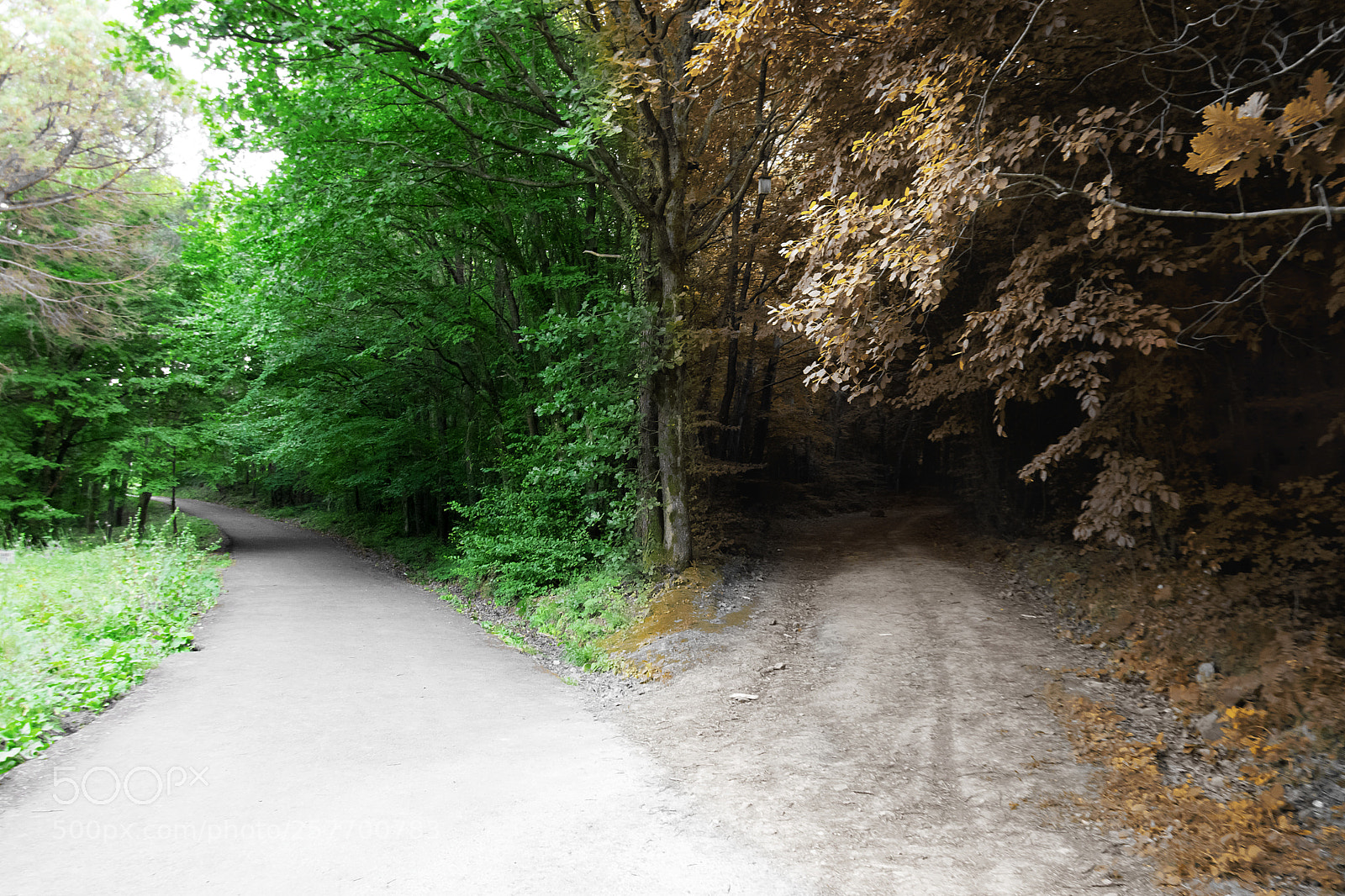 Nikon D5300 sample photo. Which way? photography
