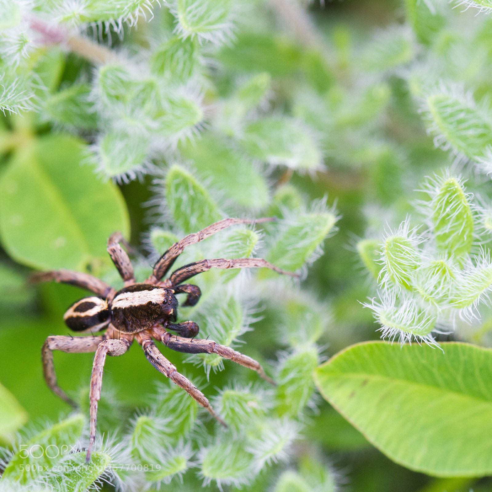 Canon EOS 7D sample photo. Img photography