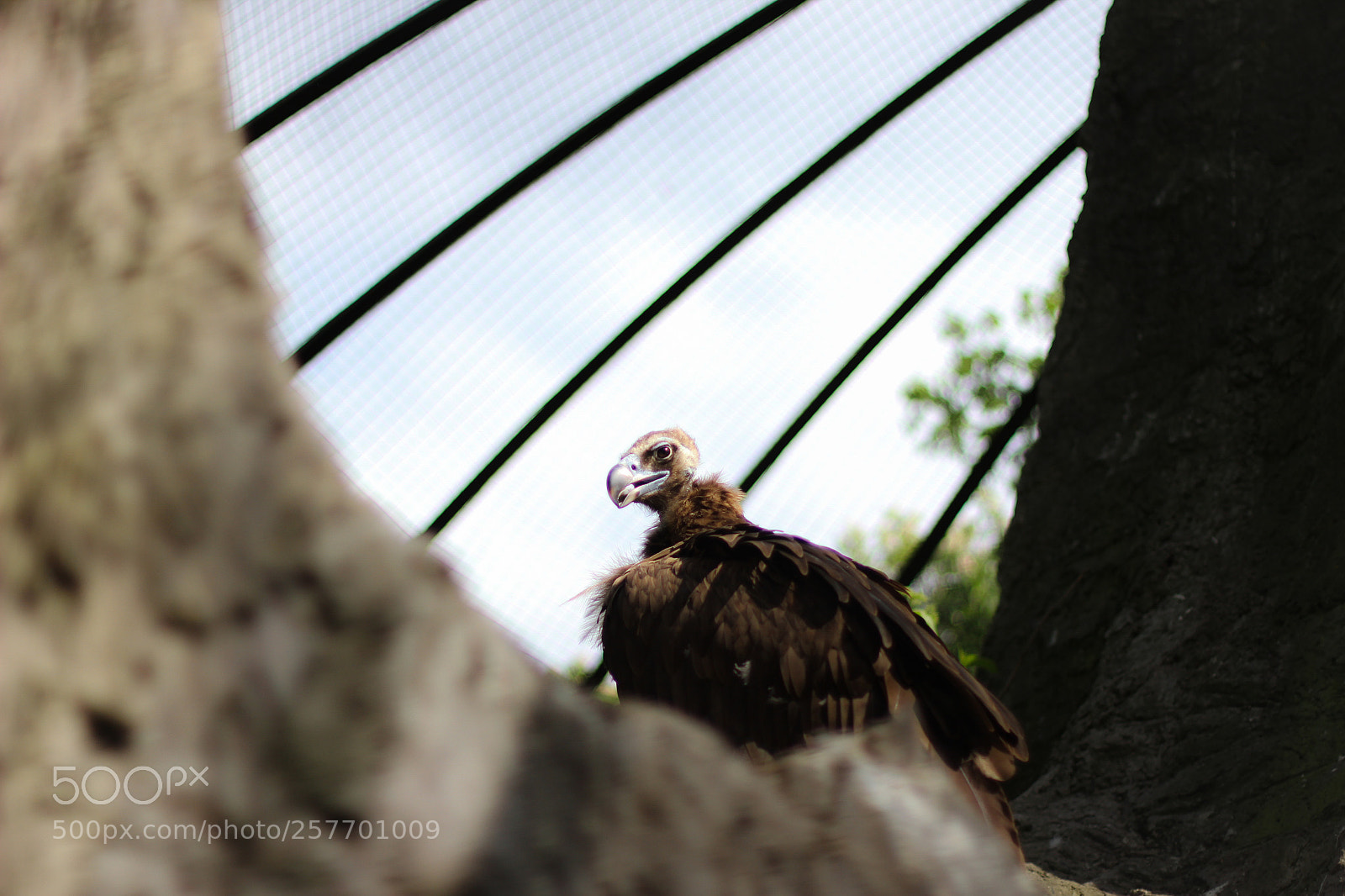 Canon EOS 60D sample photo. Untitled photography