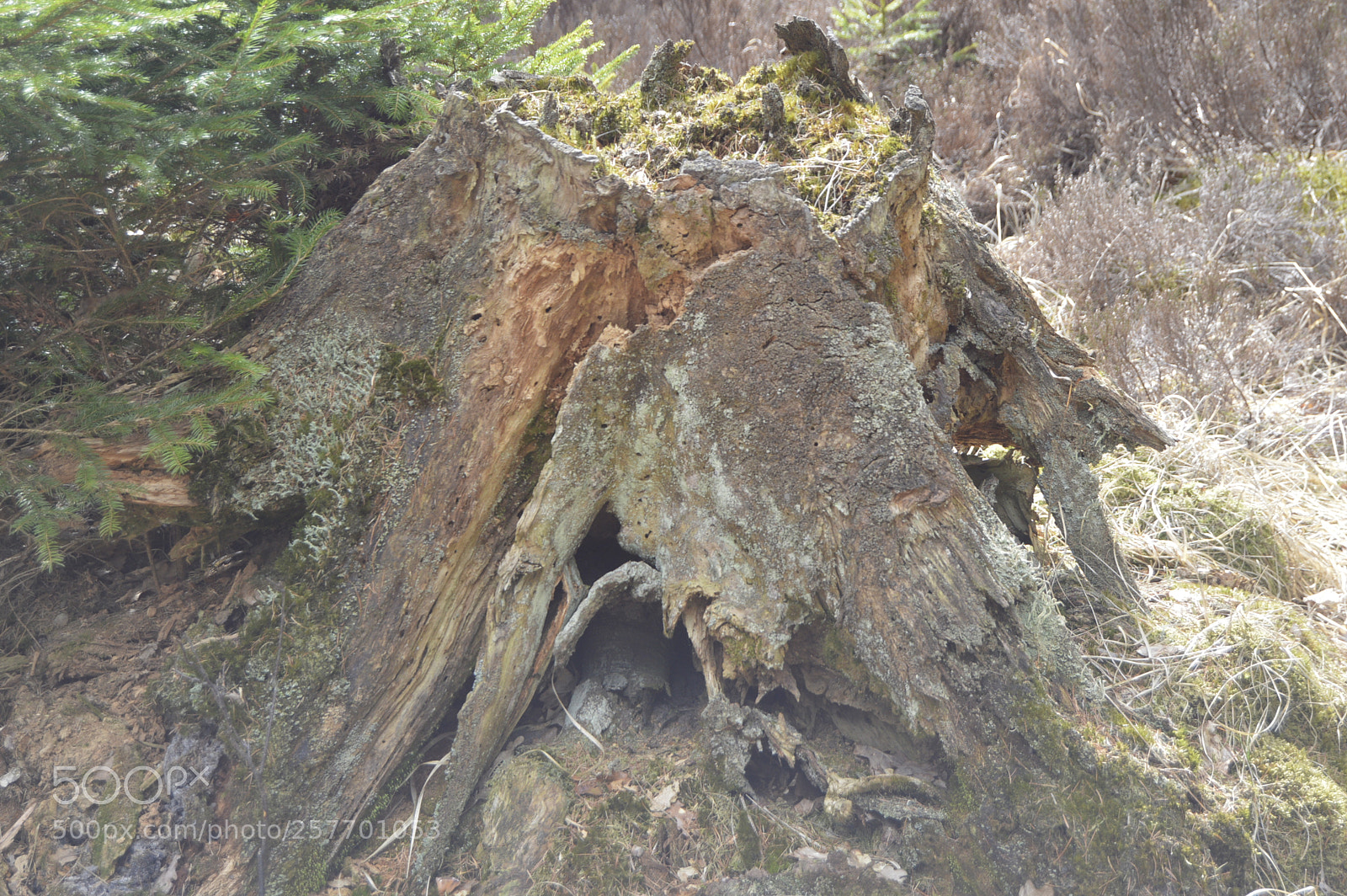 Nikon D3200 sample photo. Dansk natur photography