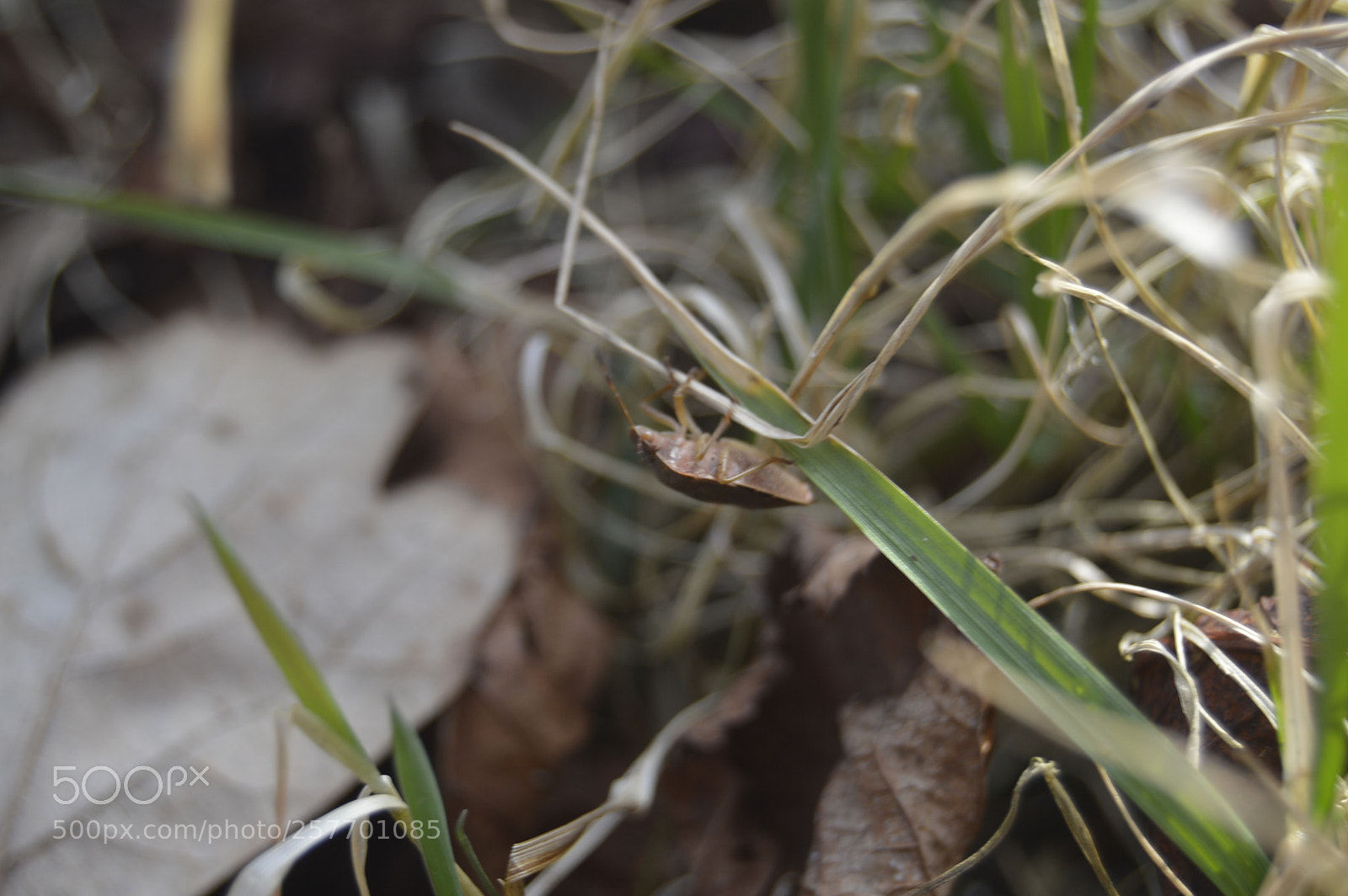 Nikon D3200 sample photo. Dansk natur photography