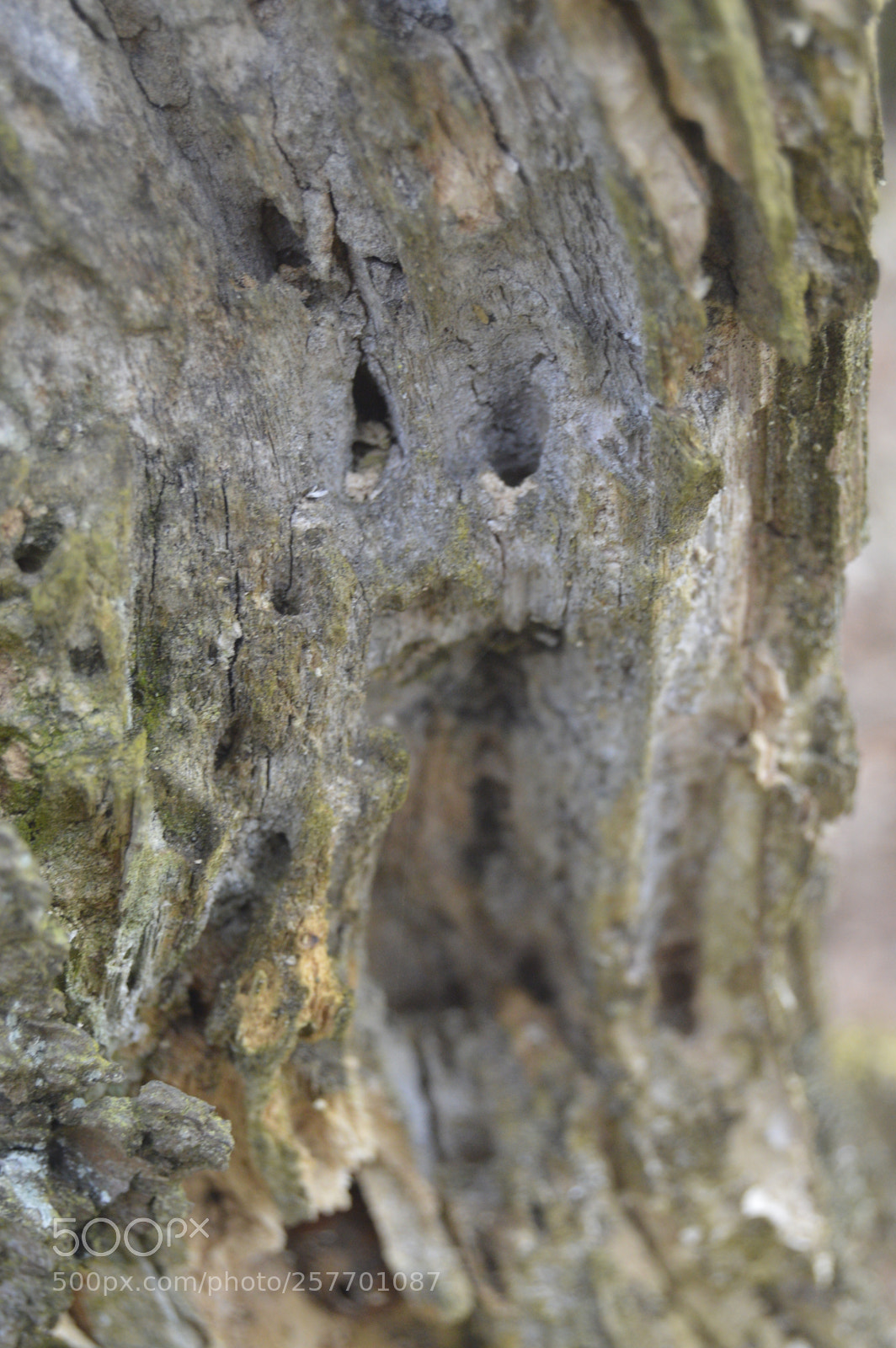 Nikon D3200 sample photo. Dansk natur photography