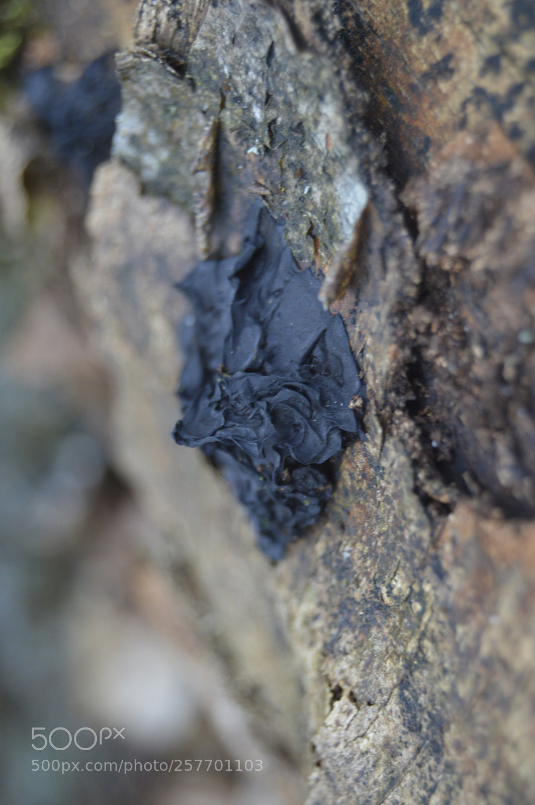 Nikon D3200 sample photo. Dansk natur photography