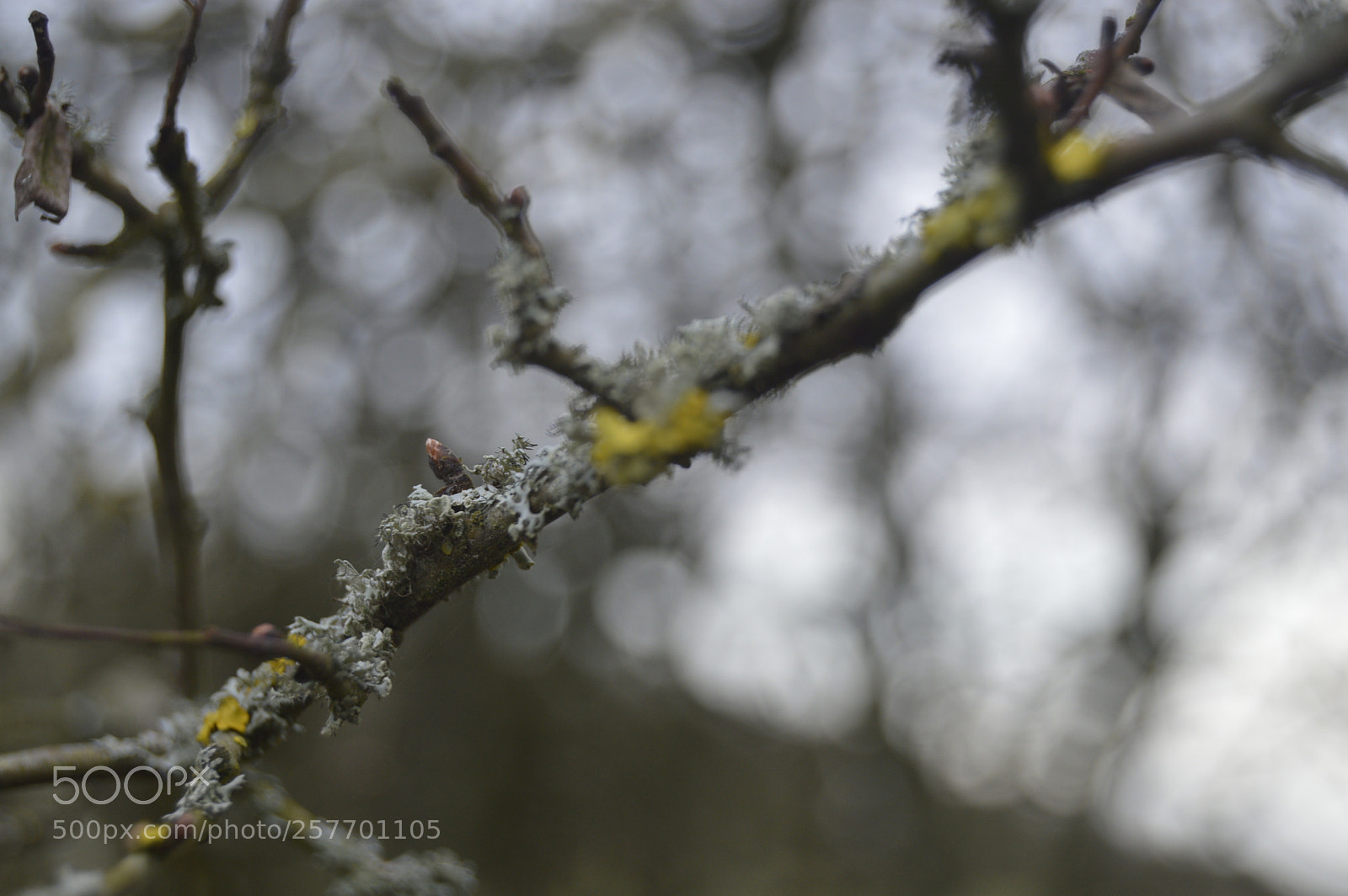 Nikon D3200 sample photo. Dansk natur photography