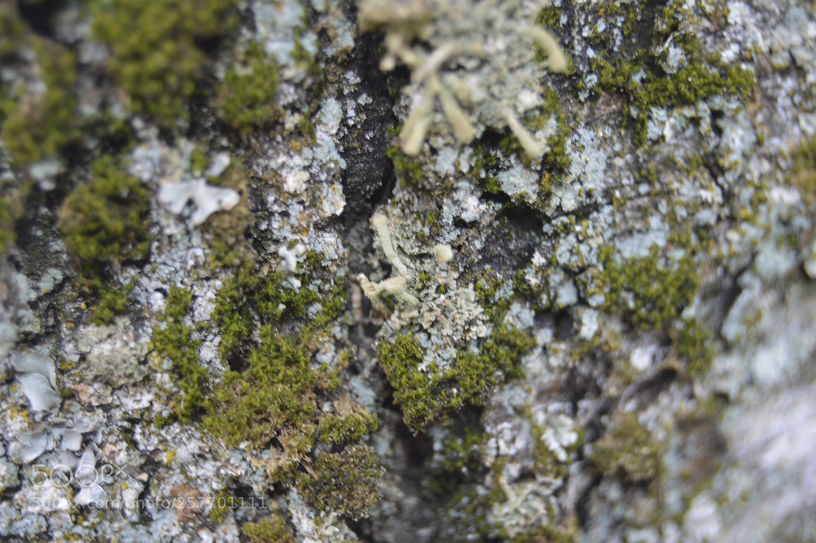 Nikon D3200 sample photo. Dansk natur photography