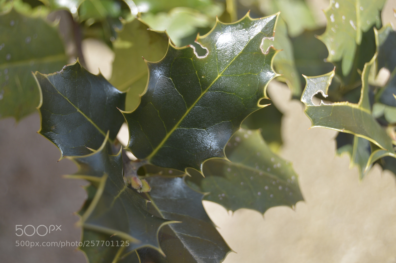 Nikon D3200 sample photo. Dansk natur photography