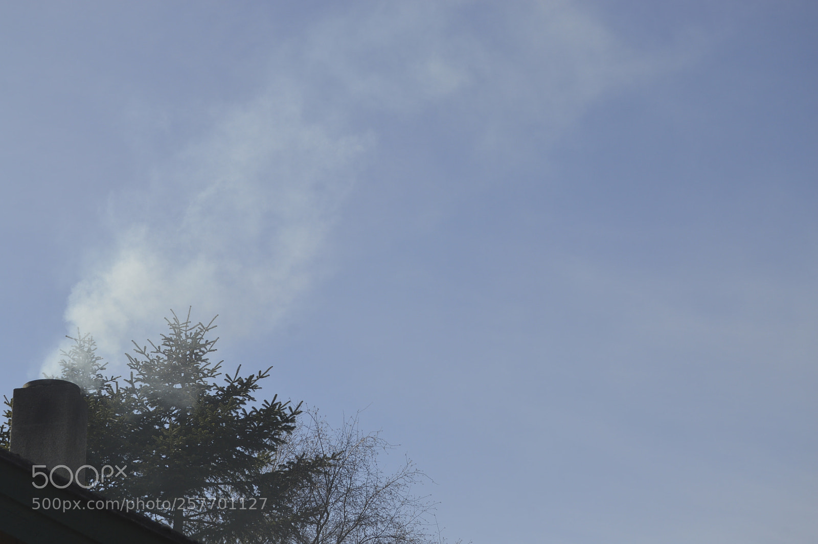Nikon D3200 sample photo. Dansk natur photography