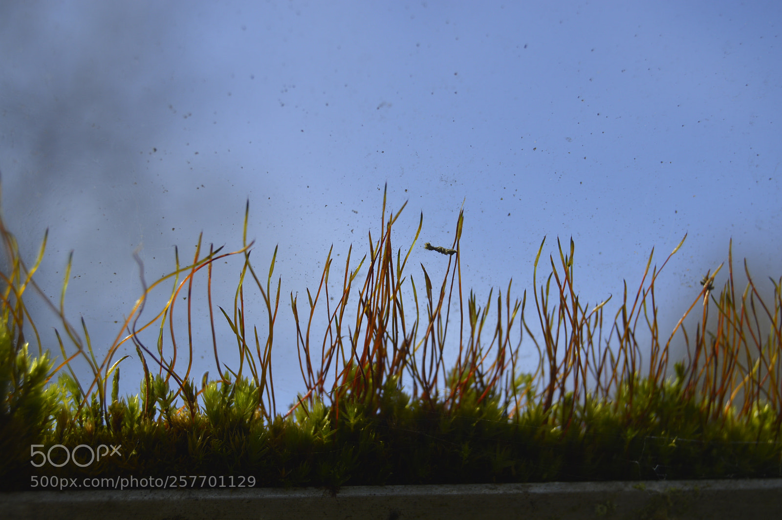 Nikon D3200 sample photo. Dansk natur photography