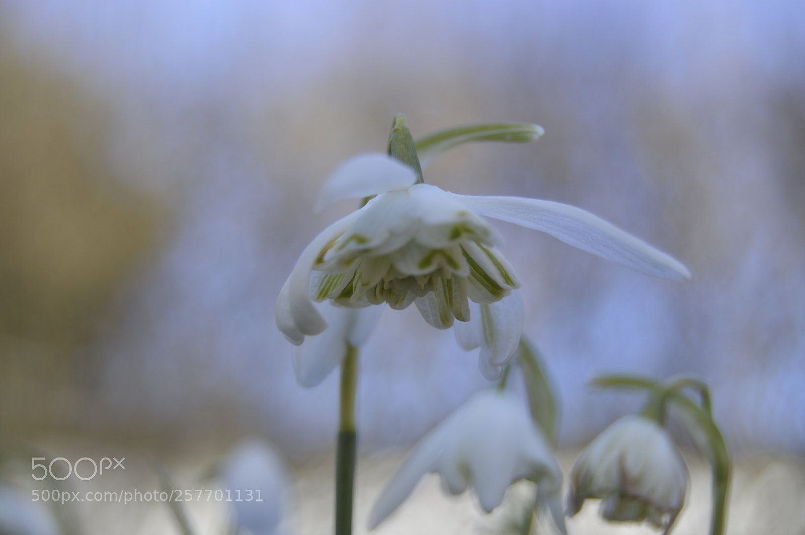 Nikon D3200 sample photo. Dansk natur photography