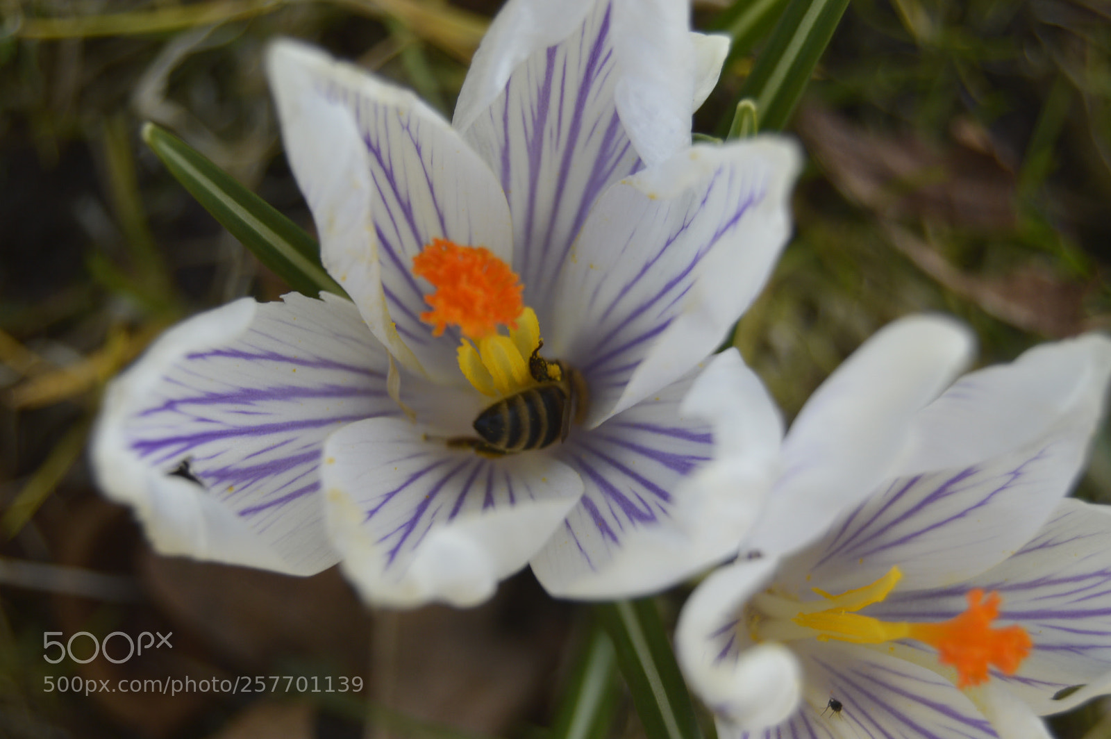 Nikon D3200 sample photo. Dansk natur photography