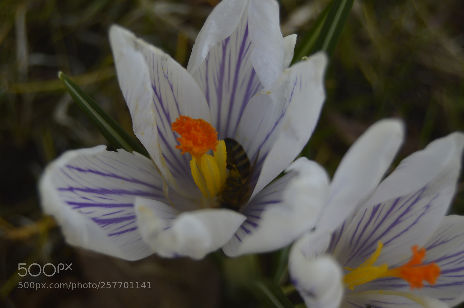 Nikon D3200 sample photo. Dansk natur photography