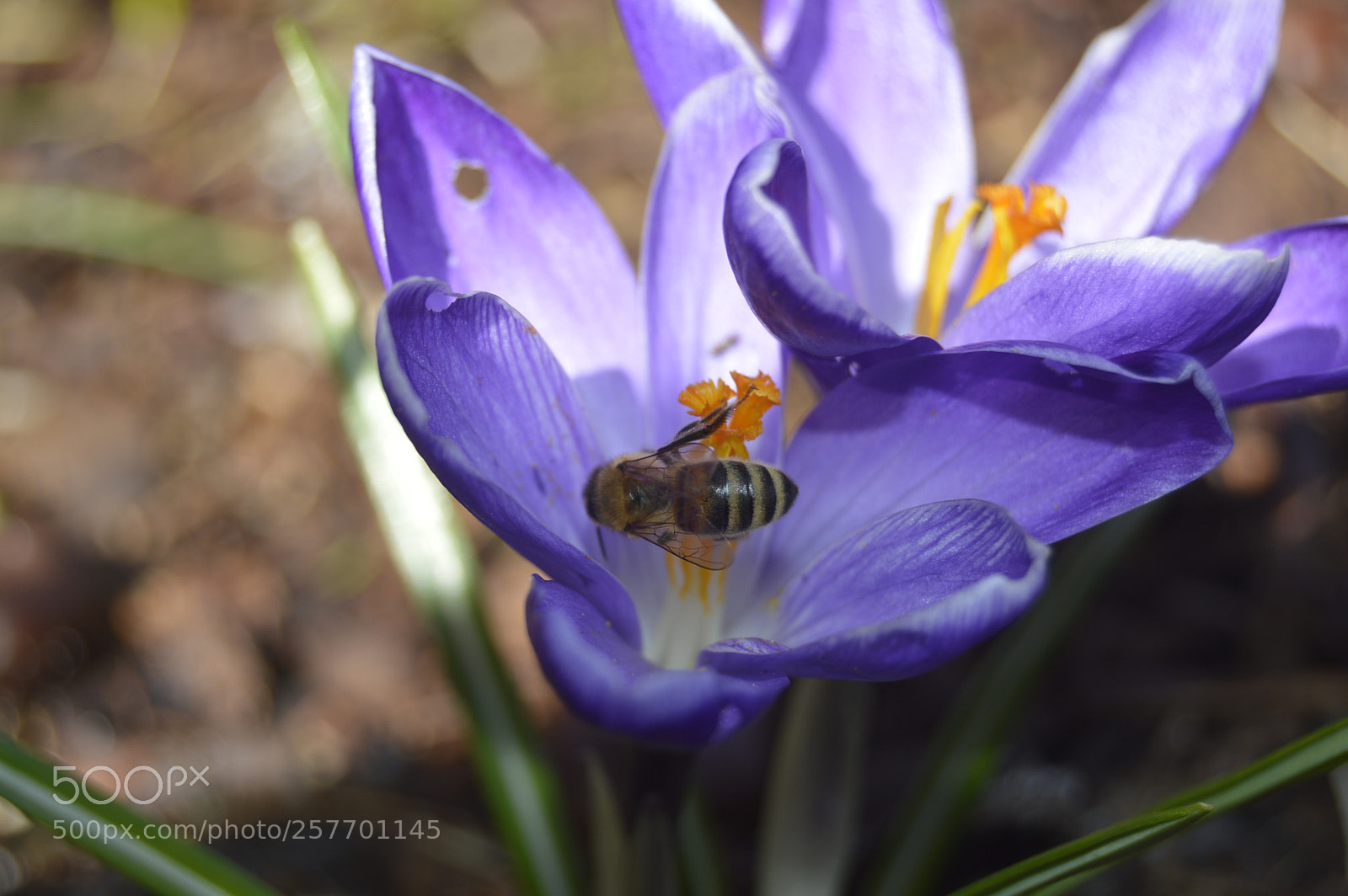 Nikon D3200 sample photo. Dansk natur photography