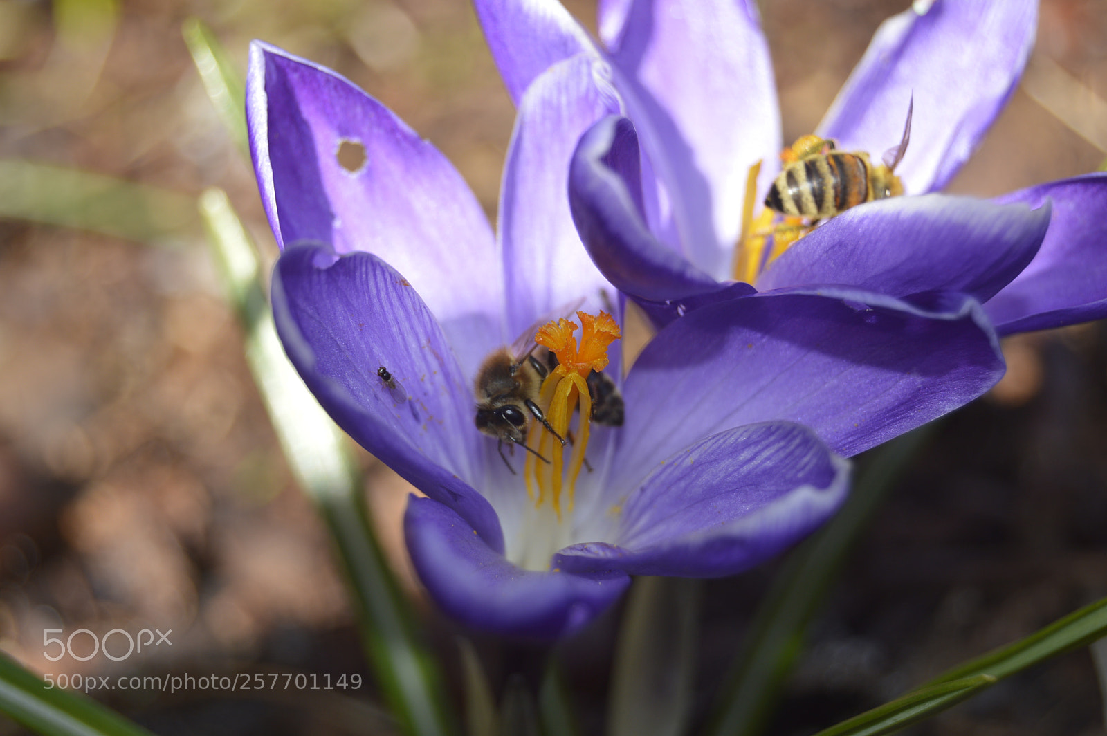 Nikon D3200 sample photo. Dansk natur photography