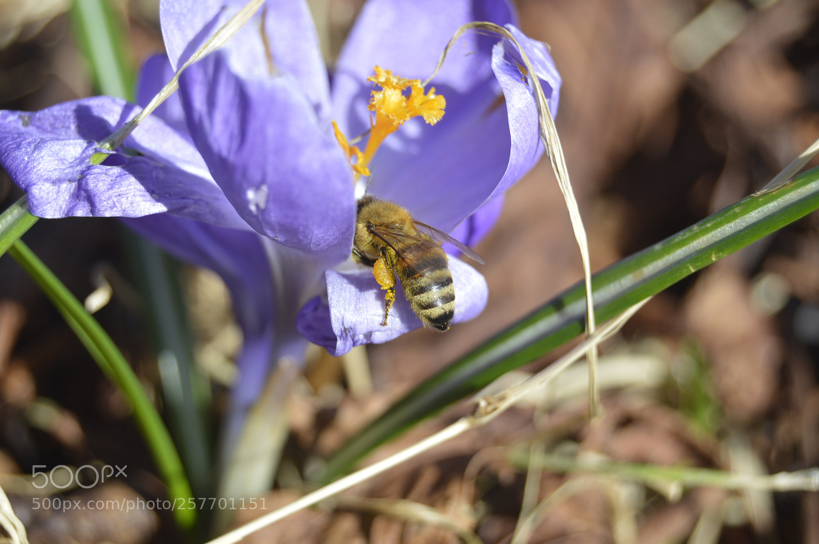 Nikon D3200 sample photo. Dansk natur photography